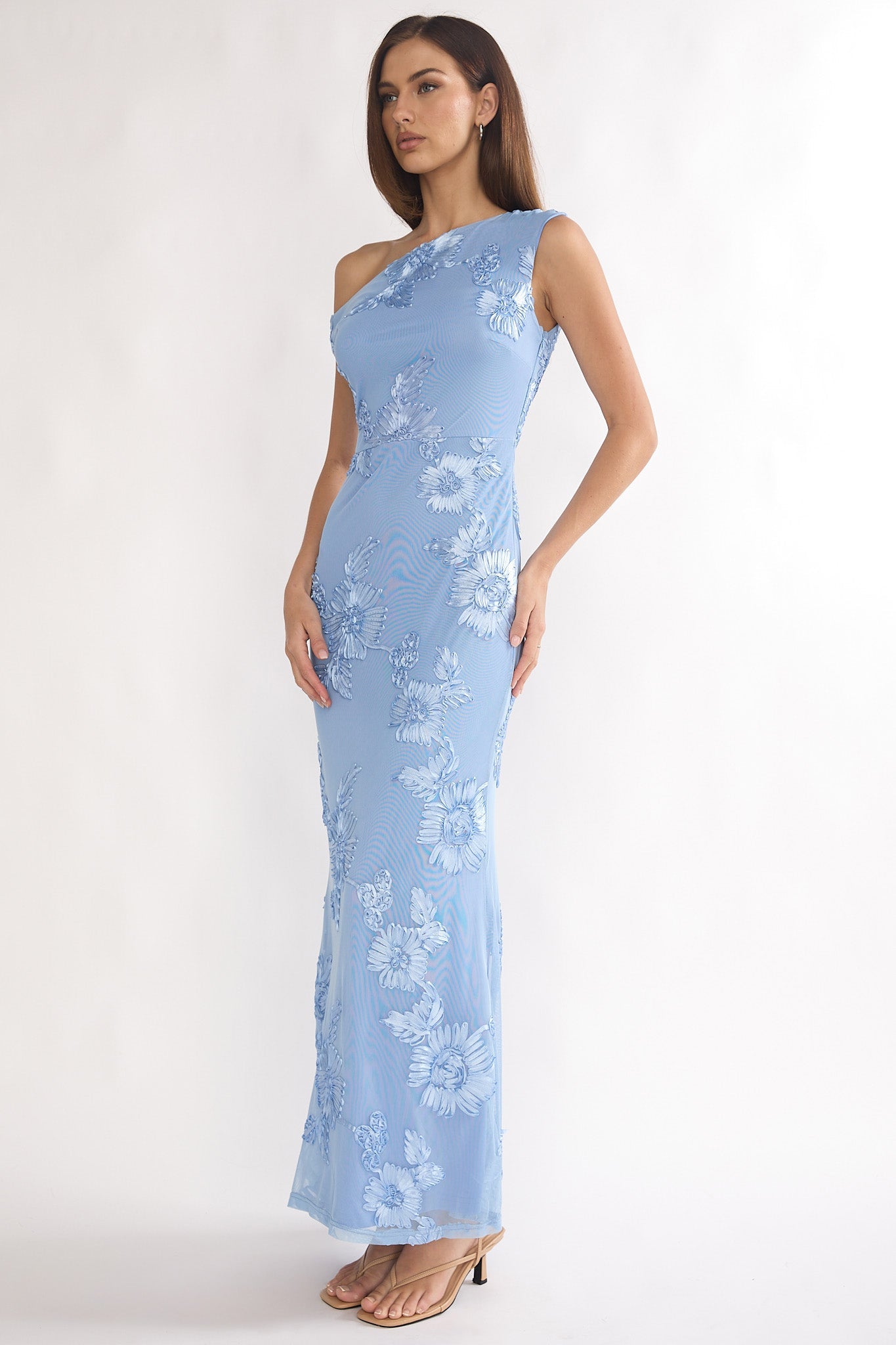 CORINA MAXI DRESS